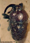  Madarellus singularis